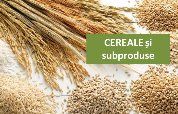 cereale-si-subproduse